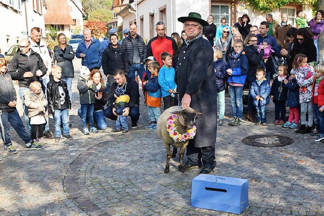 Den geschmckten Hammel will seit Jahren niemand mitnehmen.  | Foto: Benedikt Sommer