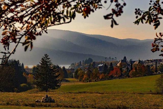 Fotos: Der Traumherbst im Hochschwarzwald