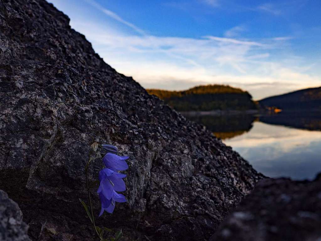 Blaue Stunde am Schluchsee