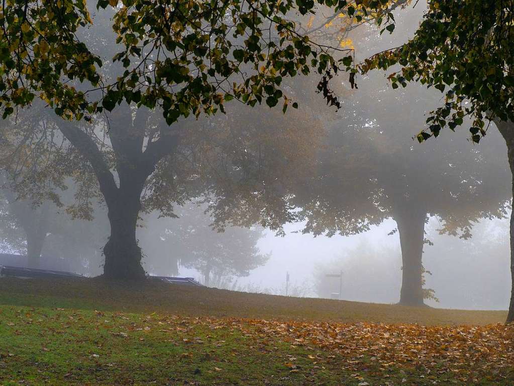 Herbst am Schluchsee