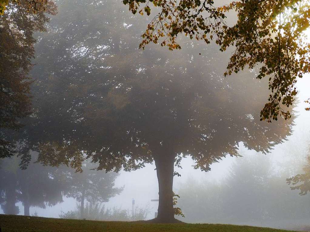 Herbst am Schluchsee