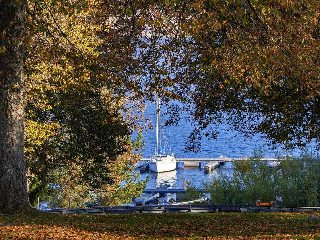 Herbst am Schluchsee