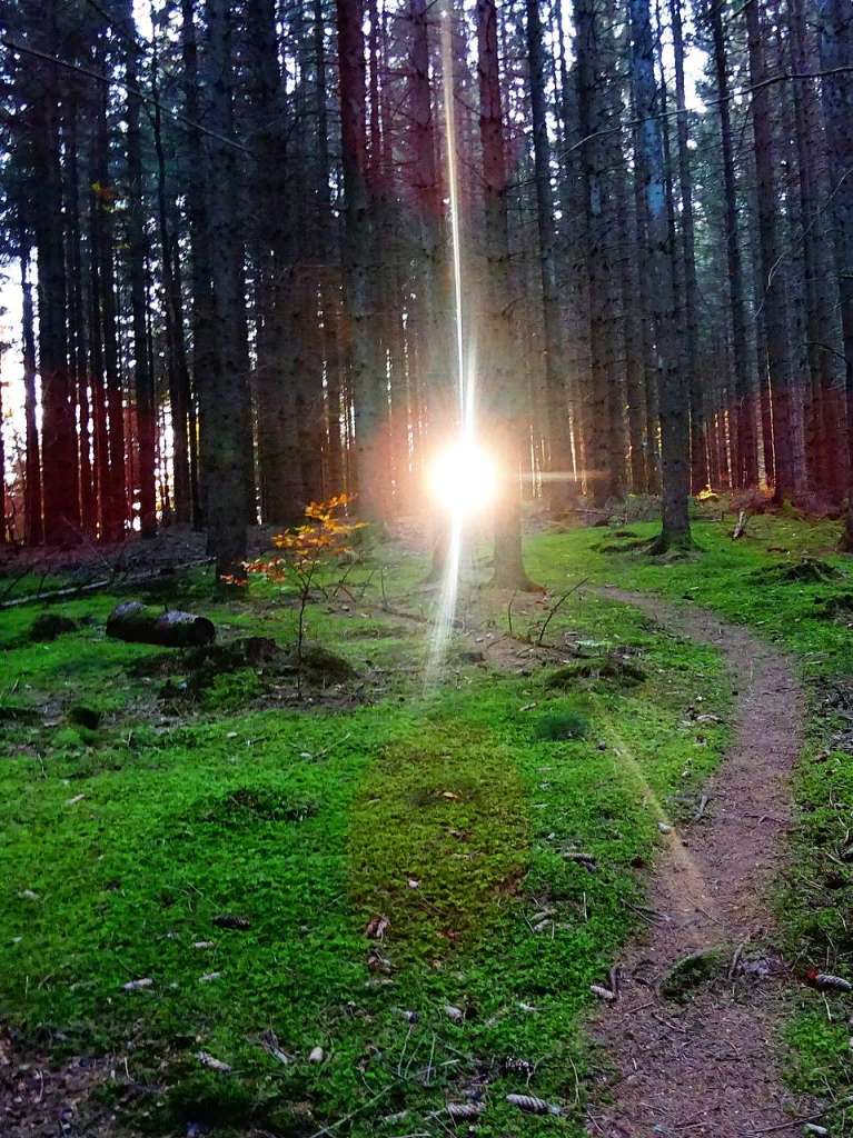 Herbst im Hochschwarzwald