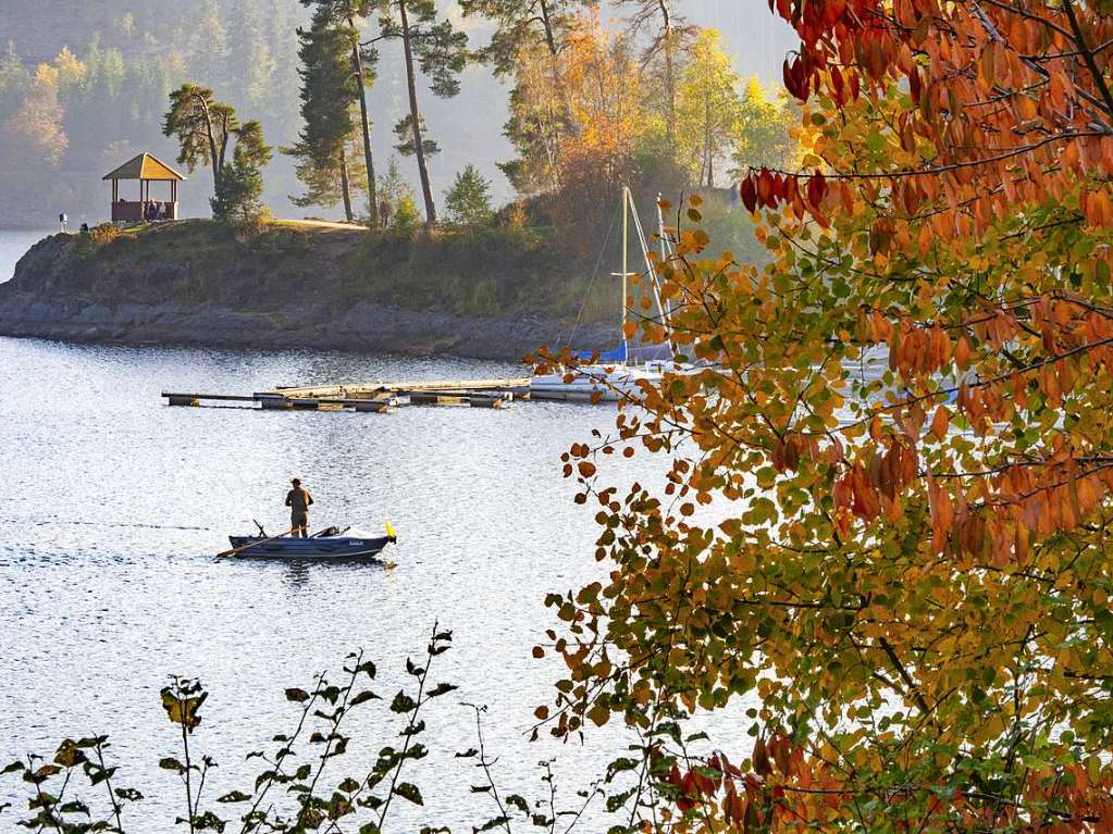 Herbst im Hochschwarzwald