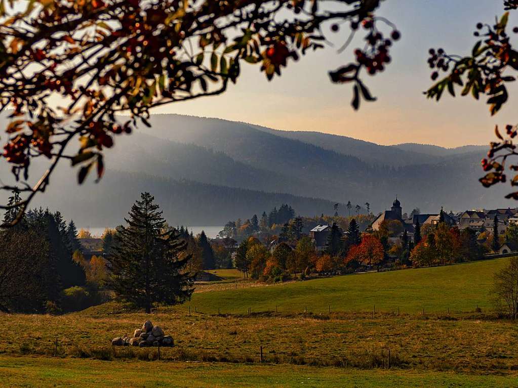 Herbst im Hochschwarzwald