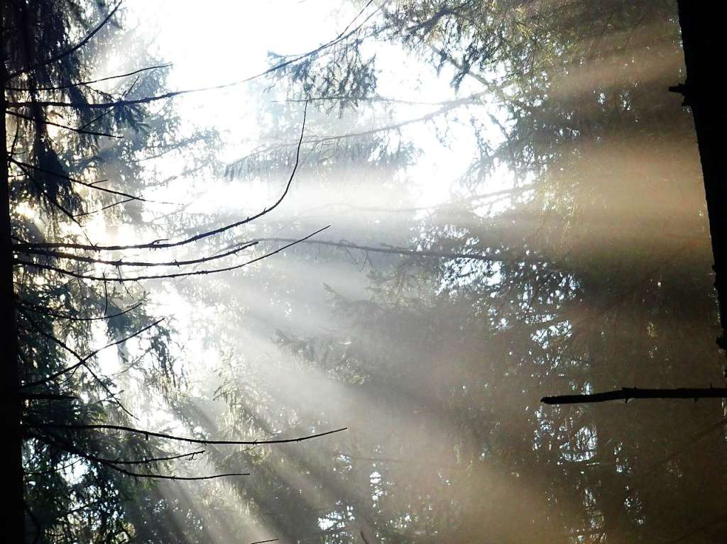 Herbst im Hochschwarzwald