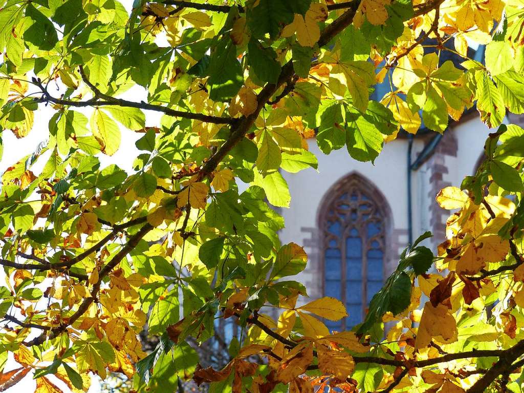 Herbst im Hochschwarzwald