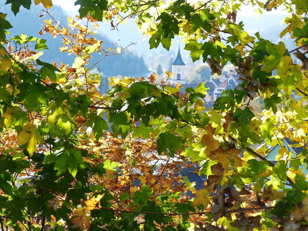 Herbst im Hochschwarzwald