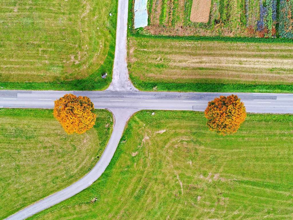 Herbst im Hochschwarzwald