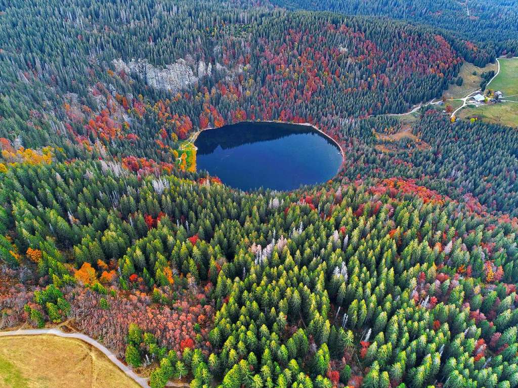 Feldsee