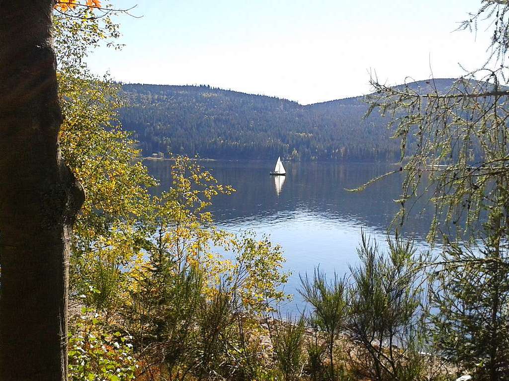 Herbst im Hochschwarzwald