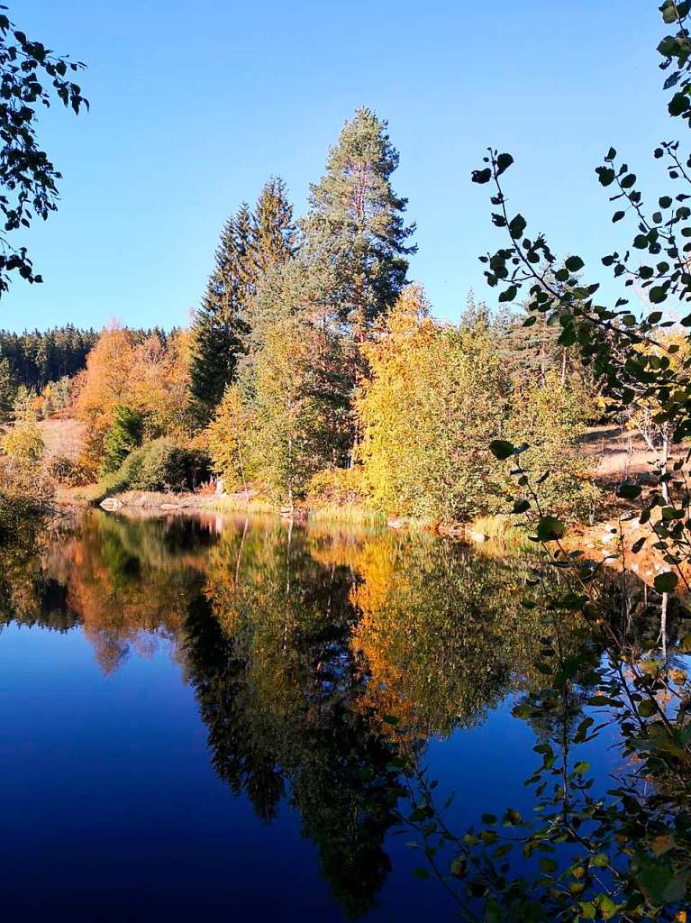 Herbst im Hochschwarzwald