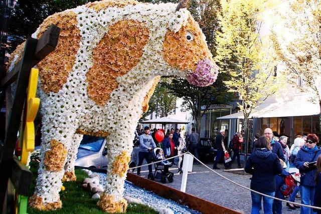 Fotos: Das erste Chrysanthema-Wochenende 2018