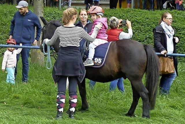 Erster Altdorfer Pony-Hock