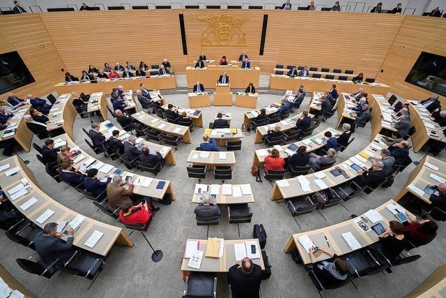 Landtagsfraktionen fordern Fhrungszeugnisse von Mitarbeitern – wegen der AfD