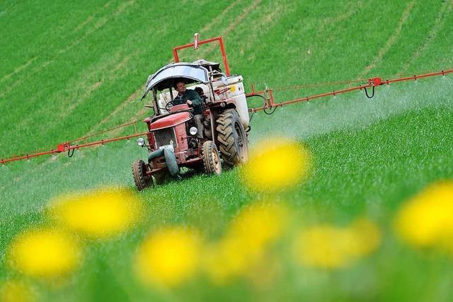 Wie funktioniert Landwirtschaft ohne Glyphosat?