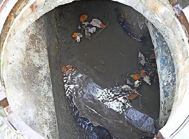 Der Wiesenbach wird durch die Betonsch...leitet. Selbst bei Niedrigwasserstand.  | Foto: Eva Korinth