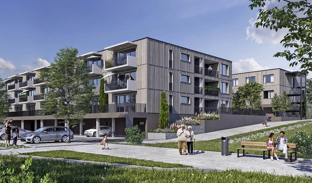 Bis im Oktober 2020 sind die beiden Ge...denacker in Breitnau im Frhjahr 2019.  | Foto: Ganter Property Development