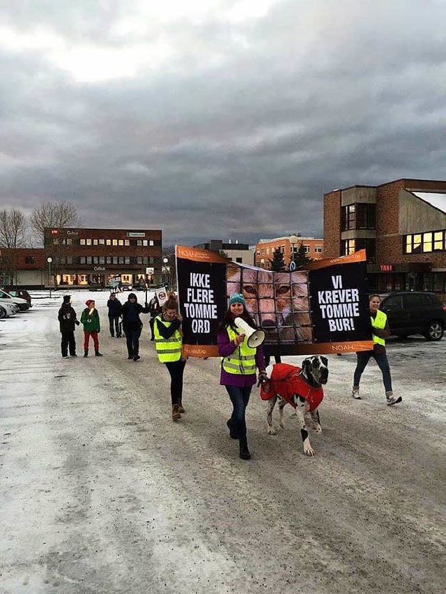 Britta Wahl mit ihrem Hund Broston auf einer Demo.   | Foto: Kristin Hansen