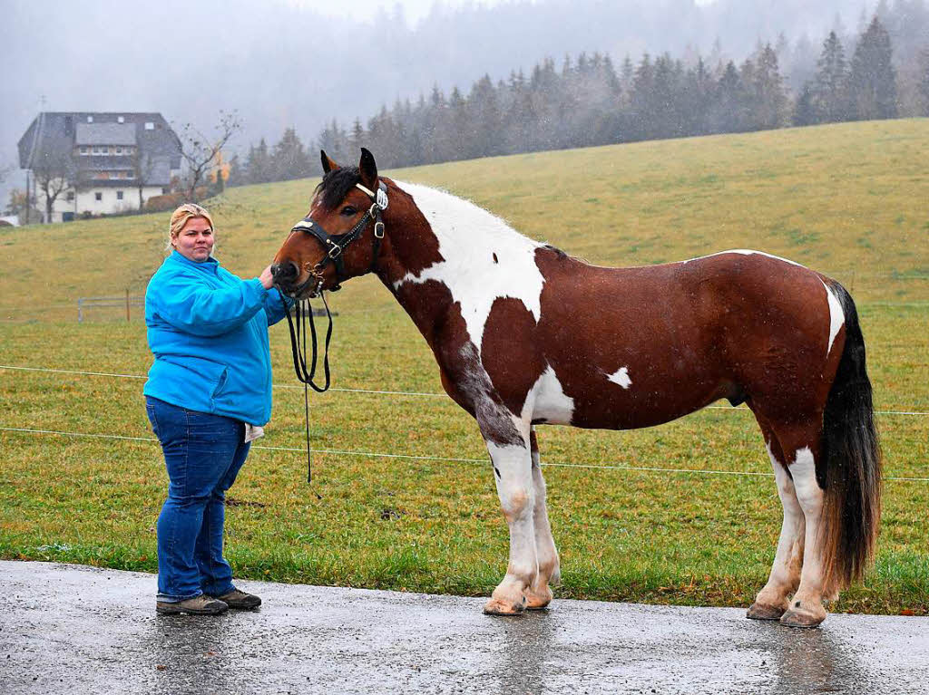 Bei der Verbandspferdeschau mit Staatsprmierung.