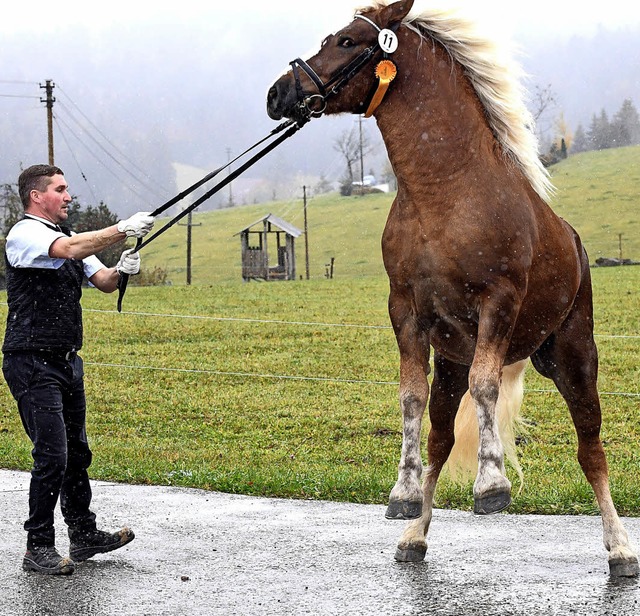 William von Zchter Klaus Tritschler aus Titisee-Neustadt  beim Freudensprung.  | Foto: Wolfgang Scheu