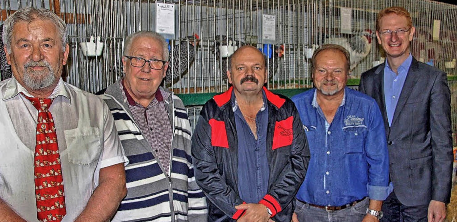 Der Trend geht derzeit zur Geflügelzucht - Herbolzheim - Badische Zeitung