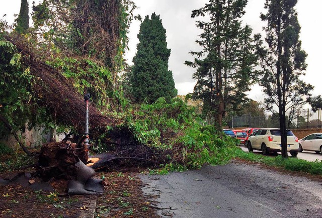 Ein schweres Unwetter hat weite Teile ... und neun Menschen das Leben gekostet.  | Foto: dpa