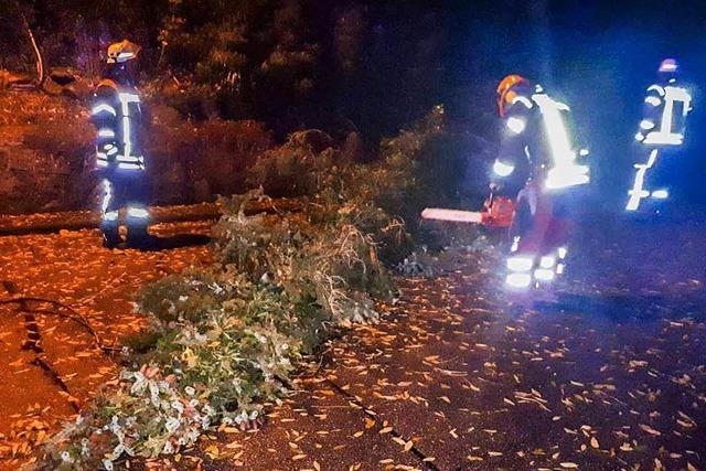 Feuerwehr rumt Bume von den Straen