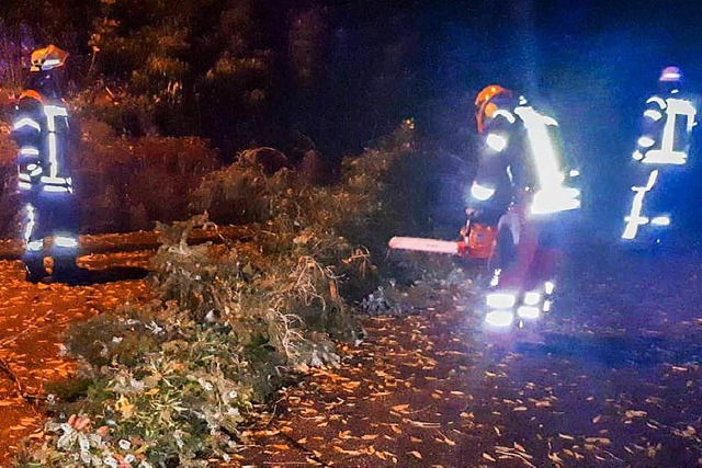 Mit der Motorsge zerlegt die Feuerwehr den umgestrzten Baum auf der Strae.   | Foto: Feuerwehr Wehr