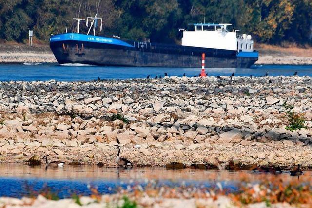 In der Schweiz kommen fast keine Schiffe mehr an – wegen Niedrigwassers