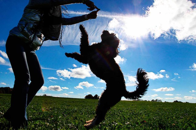 Will er vielleicht nur spielen? Aus Si...er Jogger sah das anders. (Symbolbild)  | Foto: dpa