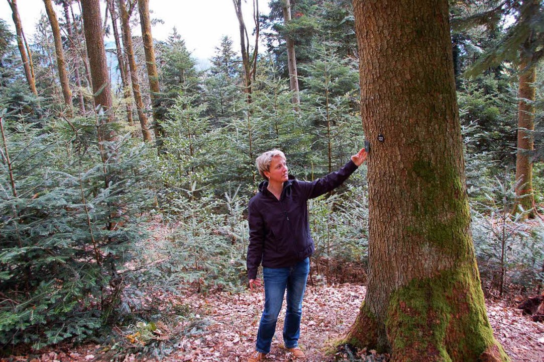 Jutta Uhl (Waldservice) vor einem ausgewählten Baum.  | Foto: hrö