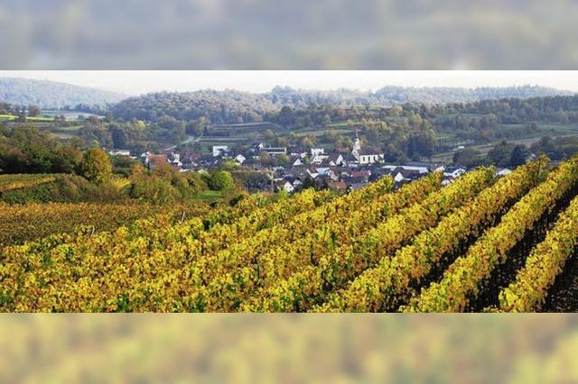 Bombach im Herbst
