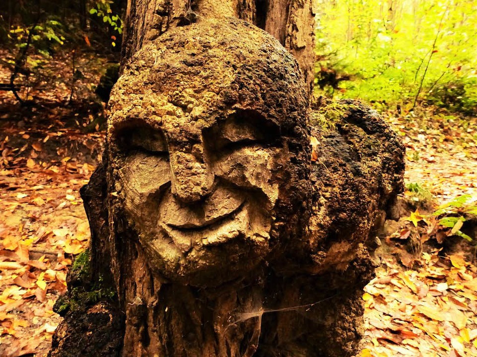Der Skulpturenpfad des Knstlers Thoma...er Nhe des Waldhaus an der Wonnhalde.  | Foto: Jennifer Kirsch
