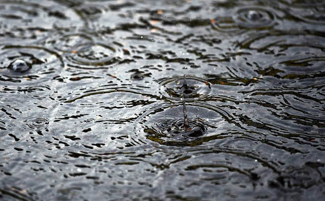 Warum bilden sich Blasen auf Pftzen, wenn es stark regnet?  | Foto: dpa