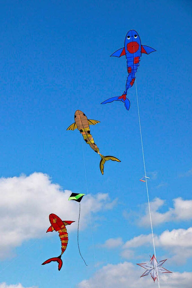 Die Fisch-Drachen hat der Drachenclub selbst gebaut.   | Foto: Betz