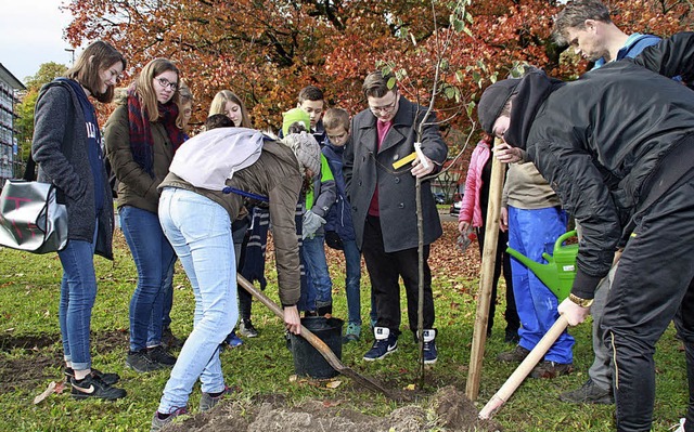 &#8222;Plant for the Planet&#8220;, ei...keit, pflanzte in Bad Sckingen Bume.  | Foto:  Leutenecker