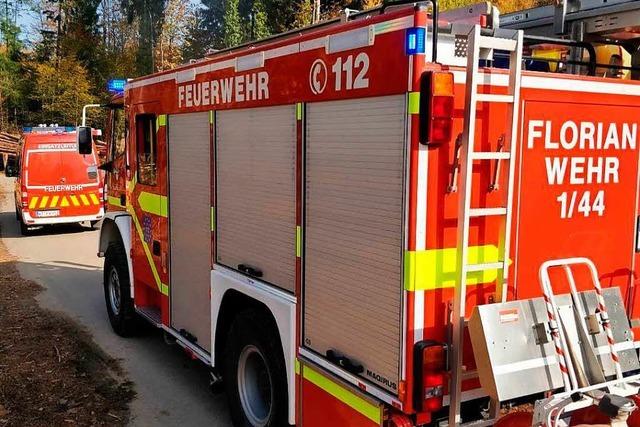 Feuerwehr lst Restglutnester im Wald