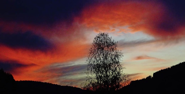 Herbstwetter: Der Himmel bringt den Baum zur Geltung.     | Foto: Wolfgang Zengler/Paul G. Wiesenberg