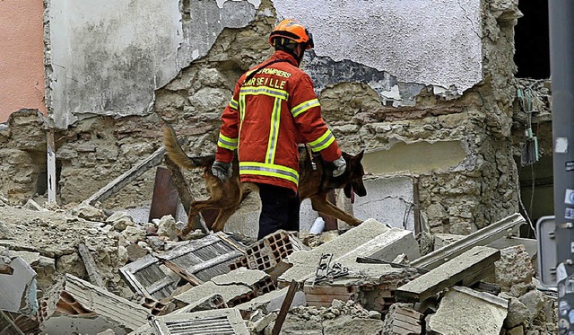Ein Feuerwehrmann sucht in den Trmmern mit einem Hund nach Opfern.   | Foto: dpa