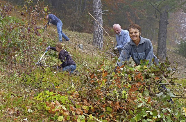 Mitglieder der Umweltgruppe Sdbaar so...nzinger beim Zusammentragen der ste.   | Foto: Gabi Lendle