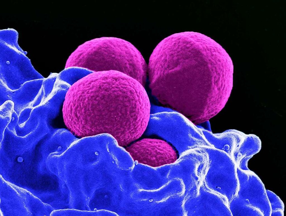 Was sind Antibiotika? Erklär's mir Badische