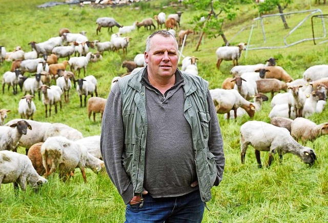 40 Schafe von  Gernot Frschle aus  Ba...l 2018 bei einer Wolfsattacke gettet.  | Foto: dpa