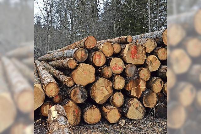 Holzpreise im freien Fall