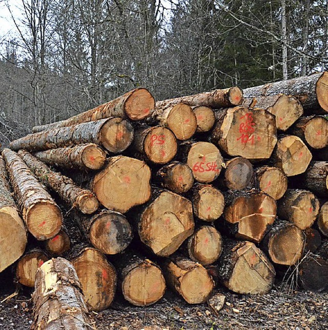 Revierfrster Robert Becker rt Waldbe...ur noch auf Abruf Holz einzuschlagen.   | Foto: Sebastian Barthmes