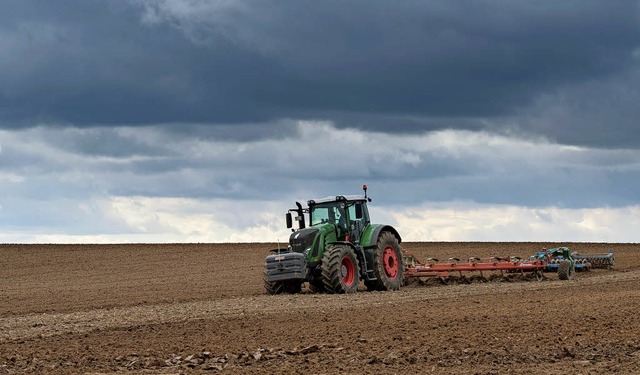 Von so viel Flche wie hier in Branden...riesenheimer Landwirte weit entfernt.   | Foto: Patrick Pleul/dpa