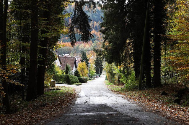 Eine Zufahrtsstrae soll ber die Schelmengasse in den Wald fhren.  | Foto: Christoph Breithaupt