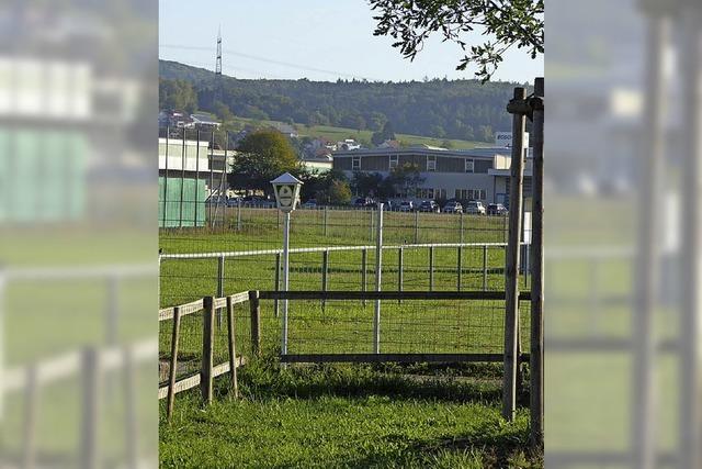 Stadt Lrrach schlgt Konzept fr Sportsttten vor