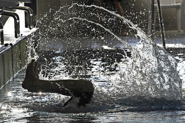 Mannschaftsmeisterschaft der Schwimmjugend