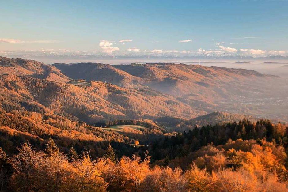 Herbst im Wiesental (Foto: Fabian Hauser) Herbst im Wiesental (Foto: Fabian Hauser)